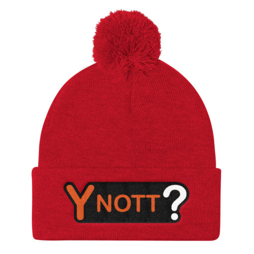 Pom Pom Knit Cap - Image 9